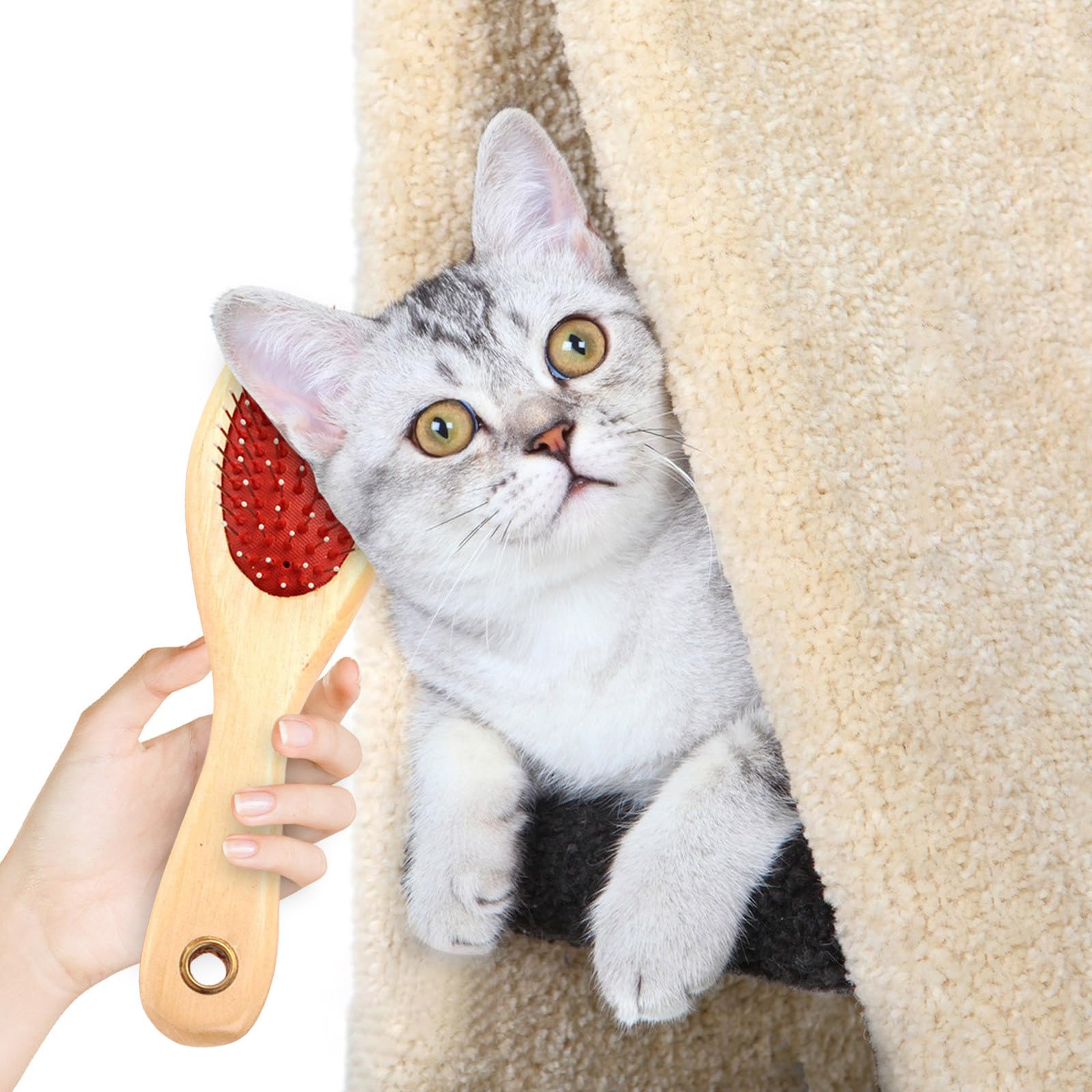 Amazon.co.jp: JUJUGEN 【新スタイル人気】 猫ブラシ 豚毛スリッカー